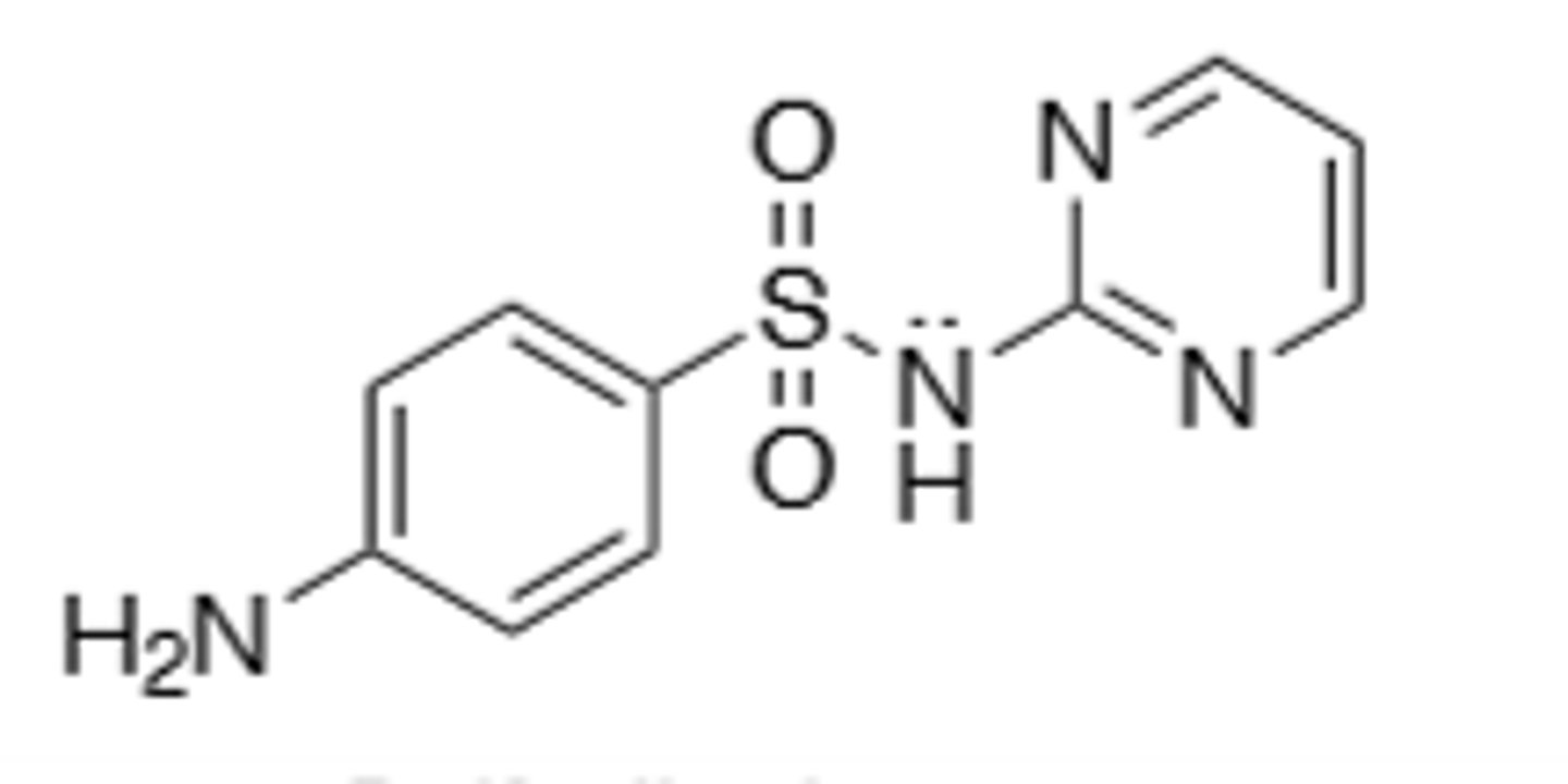 <p>Sulfonamide, comes from prodrug prontosil, inhibition of p-aminobenzoic acid (PABA) into the folic acid nucleus, blocking Thymine synthesis in bacterial cells, preventing the creation of new DNA, leading to cell death. pKa of 6.6 allows drug to out compete PABA even more in physiologic pH, allowing for therapeutic effect. Broad spectrum. Commonly used in combination, especially with pyrimethamine due to increased resistance mechanisms over the years. All drug class derivatives (Sulfas) are cross-allergenic. Crystalluria and hematopoietic disturbances, main resistance is from bacteria that cause overproduction of PABA, mutations in the target enzyme (dihydropteroate synthase), and mutations that decrease cell permeability. Metabolized by N-4-N-acetylation and sometimes N-1 glucuronidation</p>