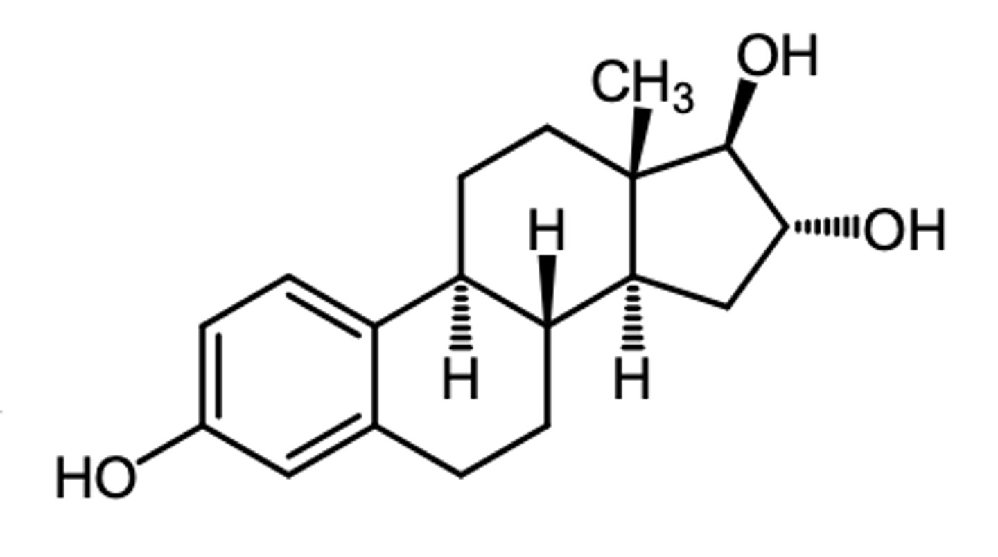 <p>which estrogen has its highest conc in the urine?</p>