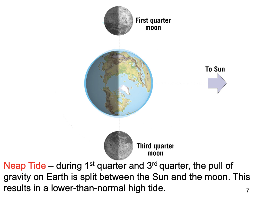 <p><span>occurs when earth, the moon and the sun are at right angles - occurs during the 1st quarter and 3rd quarter moon phases aka neap tide </span></p>