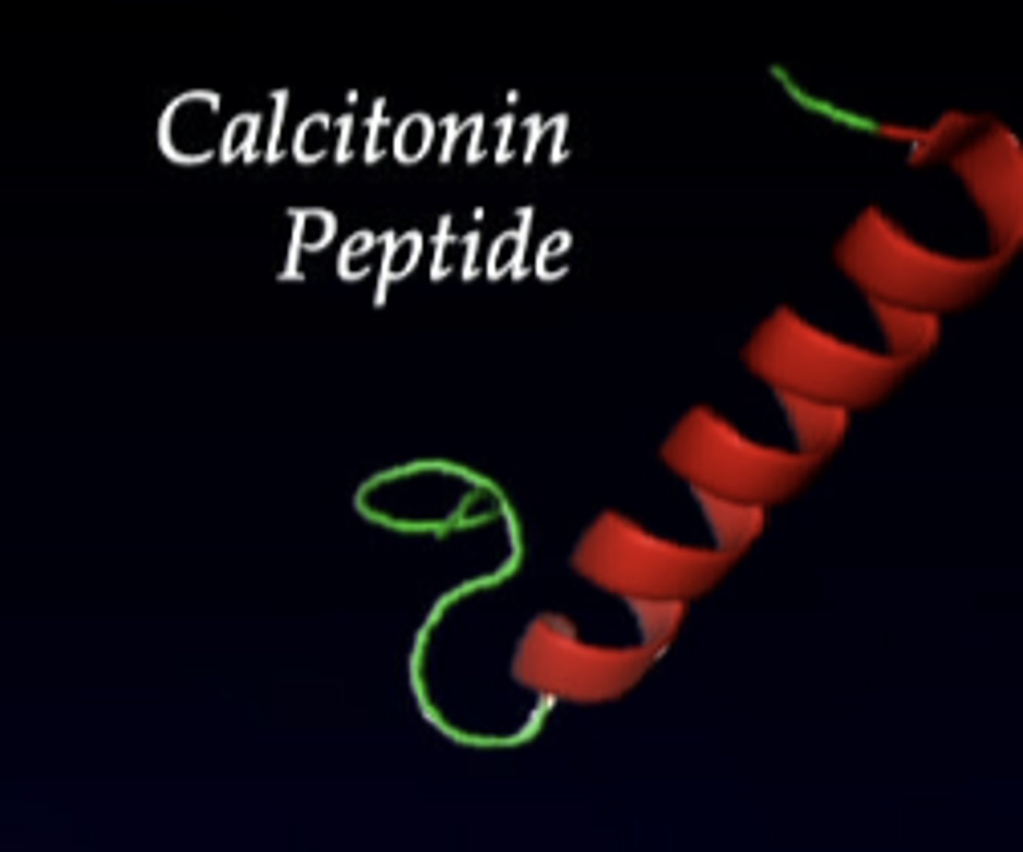 <p>-secreted by parafollicular cells of the thyroid gland</p><p>-decreases plasma Ca2+ concentration by inhibiting osteoclasts </p><p>-secretion only stimulated by VERY HIGH plasma Ca2+ levels </p>