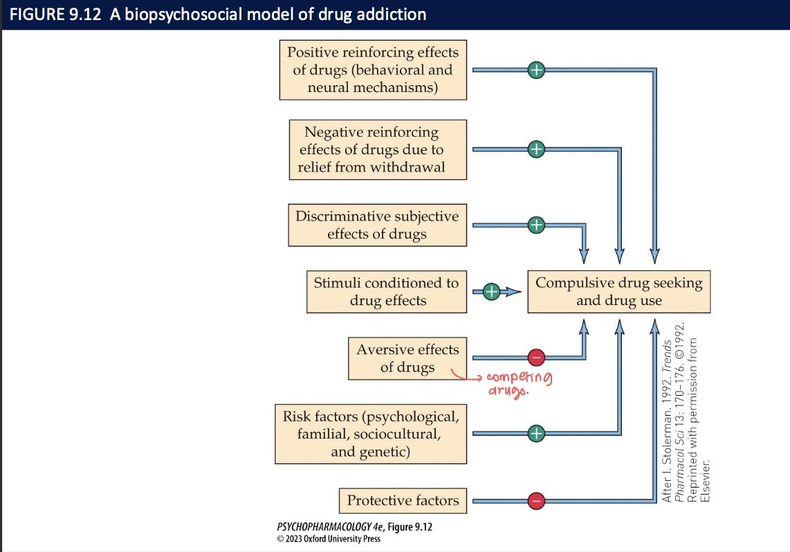<ul><li><p>includes the full range of pharmacological, biological, and psychological/sociocultural factors that influence addiction risk</p></li><li><p>some factors promote the likelihood of substance misuse + addiction → others reduce it</p></li></ul><p></p>