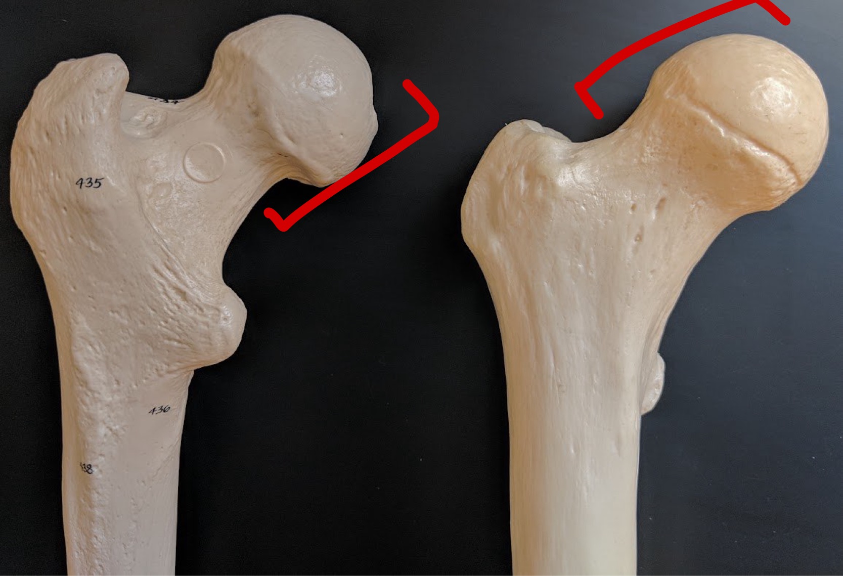 <p>Name this structure</p>