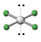 <p>square planar</p>