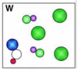 <p>element, compound, or mixture?</p>
