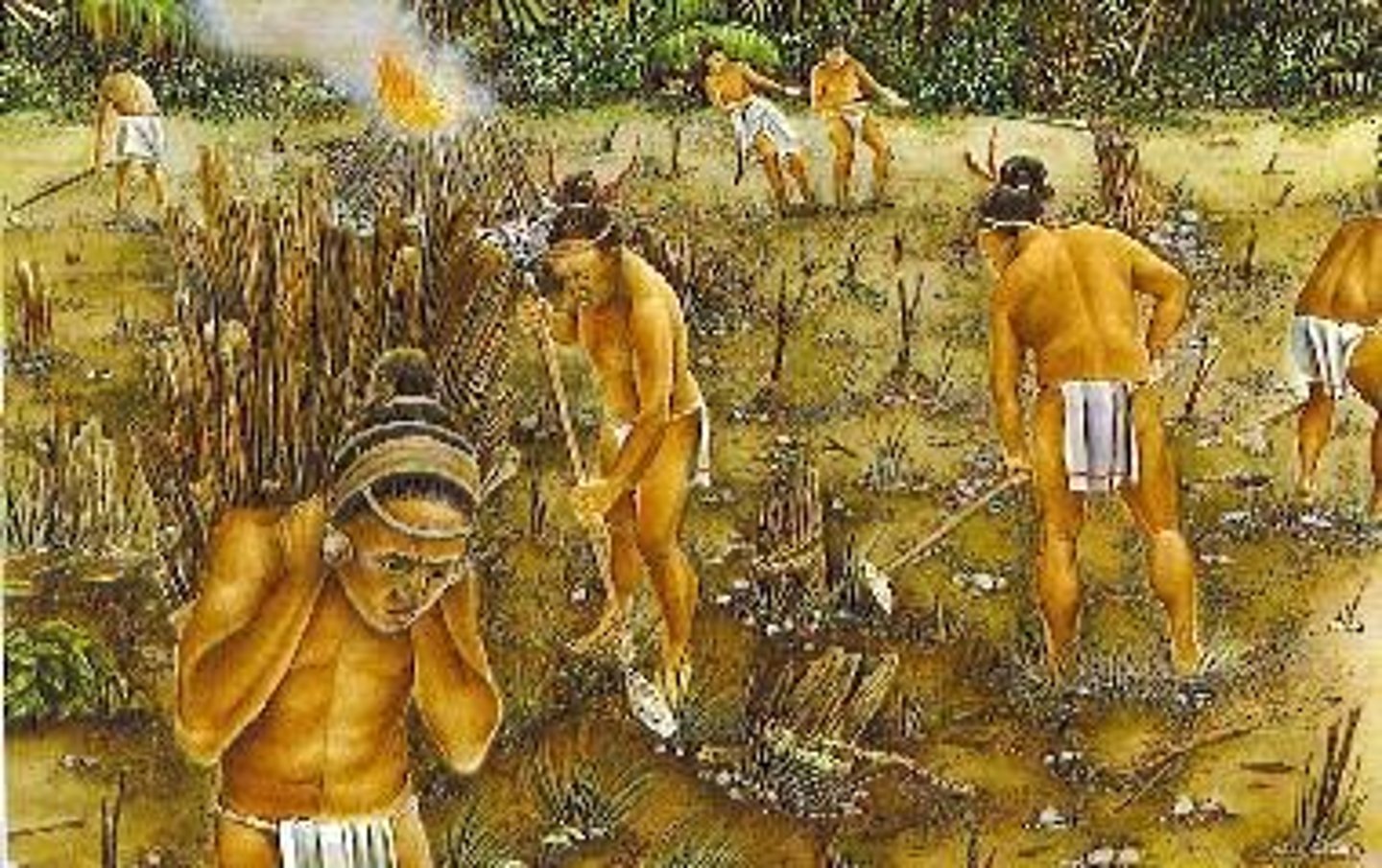 <p>Agricultural method involving clearing land for farming.</p>