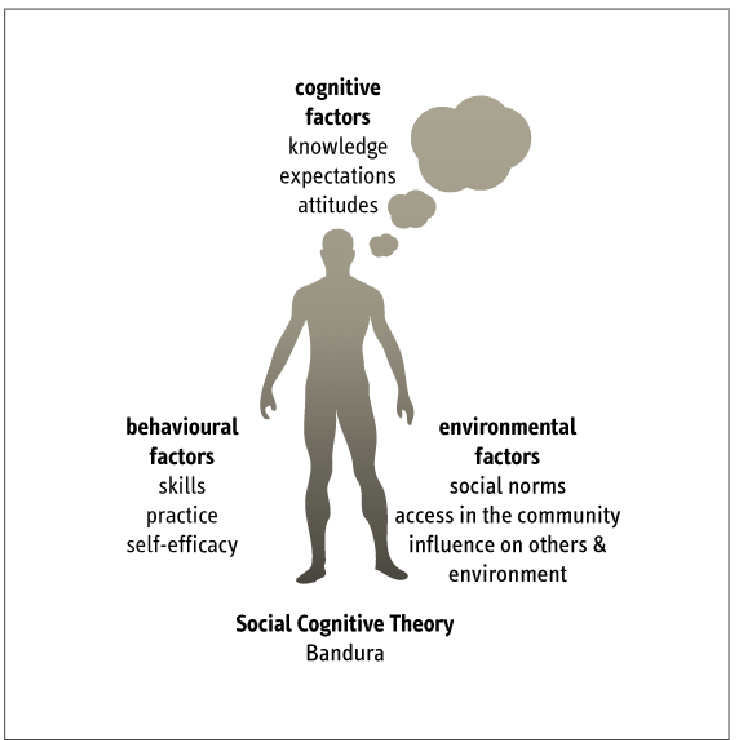 <p>Self-efficacy beliefs operate with:</p><ul><li><p>Goals</p><ul><li><p><em>eg. Aim to lose 10kg</em></p></li></ul></li><li><p>Expectations</p><ul><li><p><em>eg. After losing 10kg, they expect better health and feeling better, improved appearance etc.</em></p></li></ul></li><li><p>Environmental support and barriers</p><ul><li><p><em>eg. Support (facilitator) = friends and family | barrier (impediments) = lack of access to gym, low SES etc.</em></p></li></ul></li></ul><p></p><p><strong><em>in order to regulate motivations, behaviour and wellbeing</em></strong></p><p></p>