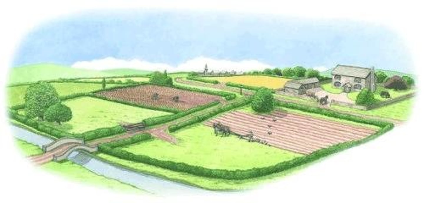 <p>Practice of fencing or enclosing common lands into individual holdings. Small tenant farmers couldn't afford the land so pushed people to the cities to find work.</p>