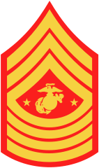 <p>E-9</p>