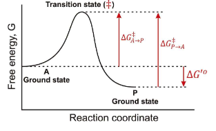 <p>For this reaction , A → P, the rate constant is connected to thermodynamics by?</p>