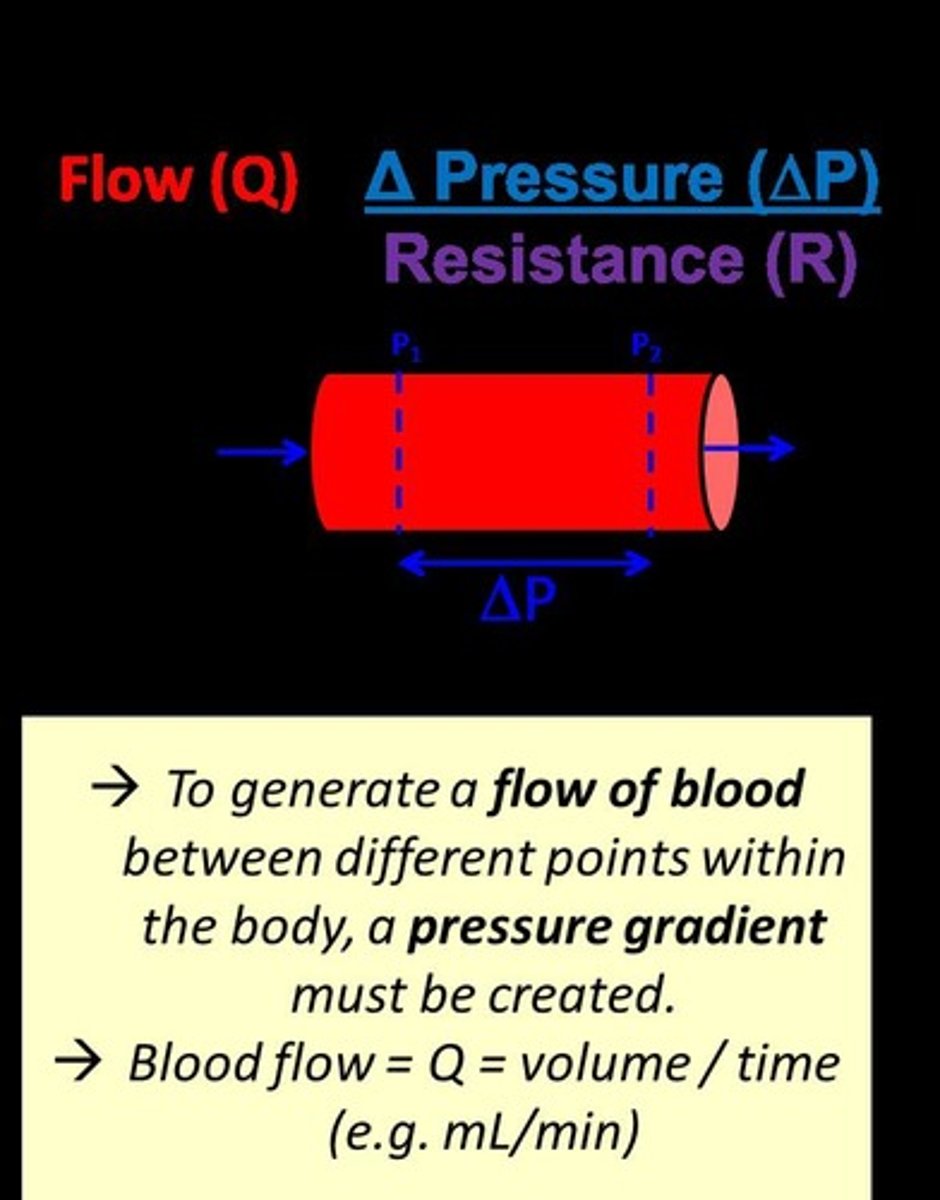 <p>Blood flow is directly proportional to blood pressure.</p>