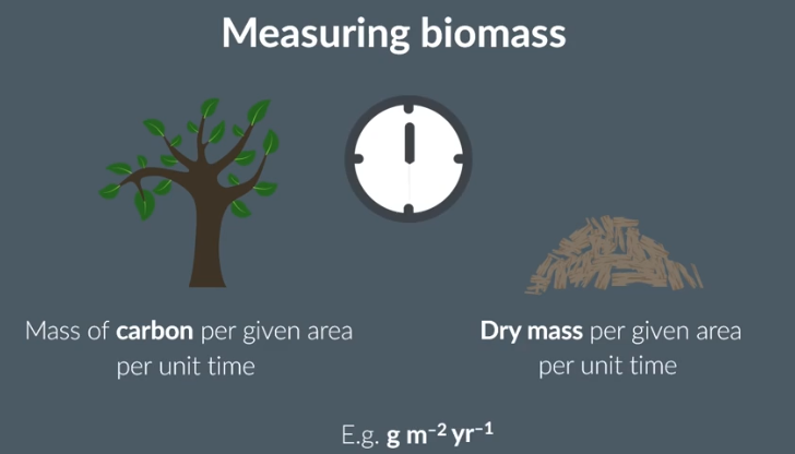 <p>biomass</p><p>carbon</p><p>area</p><p>time</p><p>grams</p>