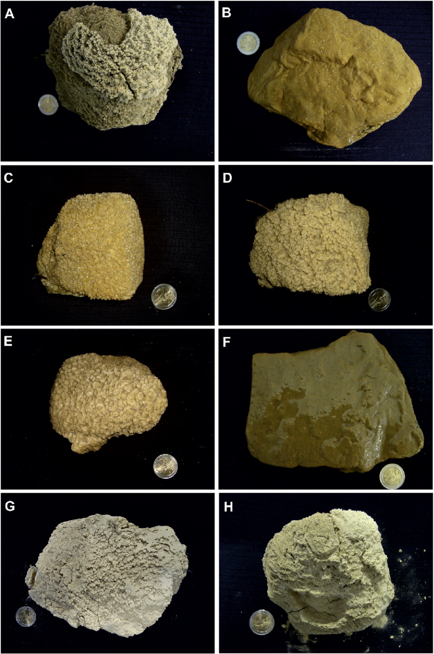 <p>NON CLASTIC SEDIMENTARY</p><p><strong>ROCKS FORMED WHEN MINERALS FROM MINERAL <mark data-color="purple" style="background-color: purple; color: inherit;">SUPERSATURATED WATERS START TO CRYSTALLIZE AT THE BOTTOM</mark></strong></p>