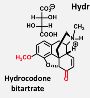 <p>Multicyclic Full Mu Agonist </p><p><span>Only available as combo with acetaminophen (Vicodin), ibuprofen (Vicoprofen), or cough suppressant preps (Hycodan)</span></p><p><span>Prodrug </span></p><p><span><strong>Good oral bioavailability; much more active than codeine</strong></span></p>