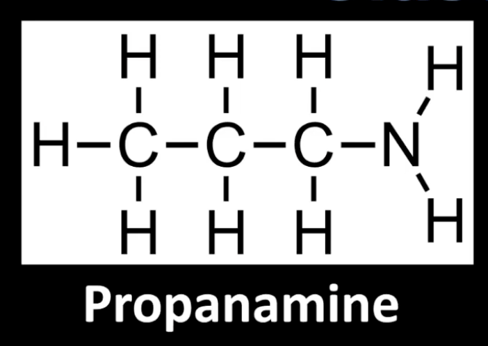 <p>Nitrogen bonded to one carbon group. </p><p>Example: Propanamine. </p><p>Count the carbon groups directly attached to nitrogen.</p>