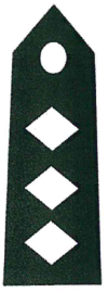 <p>What rank is this?</p>