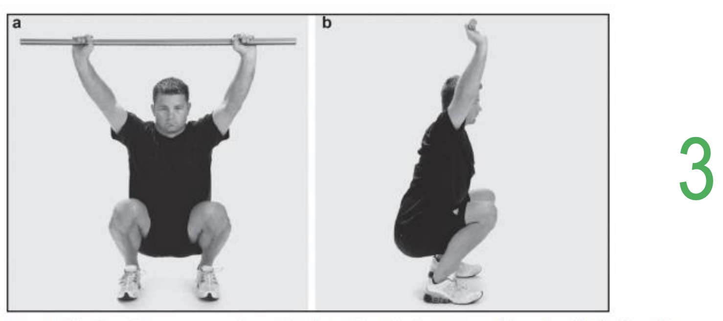 <p><strong>-Purpose:</strong> Assess total -body mechanics, hip/knee/ankle mobility, and shoulder stability.</p><p><strong>-Key Observations: </strong>Upright posture, Even weight distribution, Full squat depth with overhead bar. </p><p><strong>-Common Compensations: </strong>Heels rise off ground, Forward trunk lean, Knees collapse inward.</p>