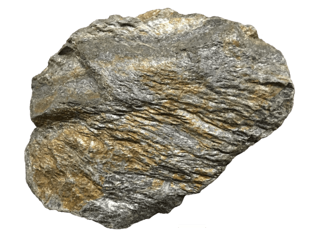 <p>Identify the metamorphic rock</p>