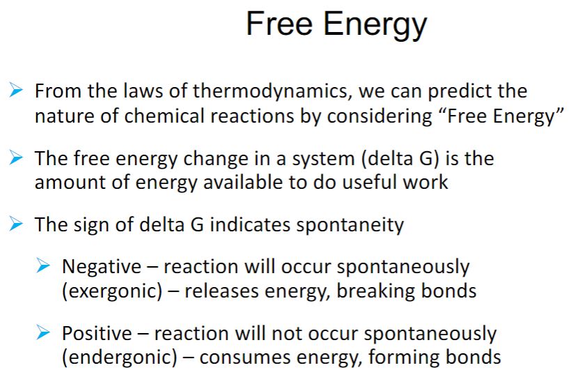 <p>Free Energy</p>