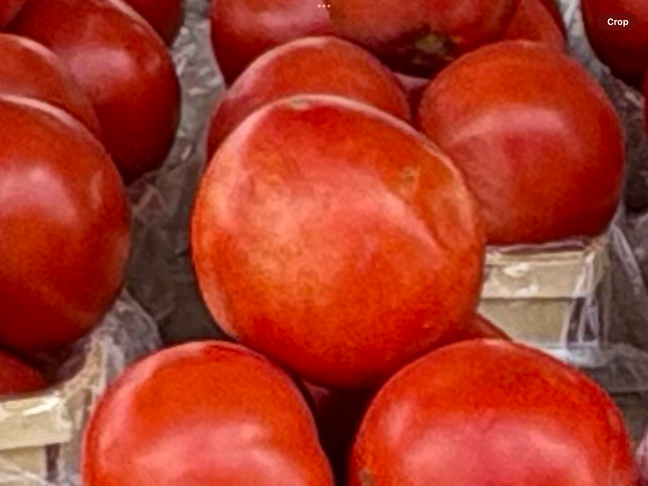 <p>Tomatoes each</p>