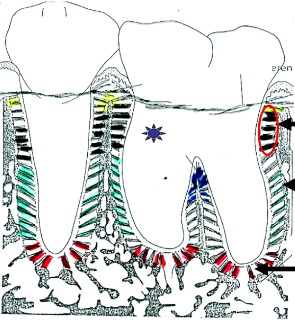 <p>What is this?</p>