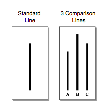 asch's conformity study