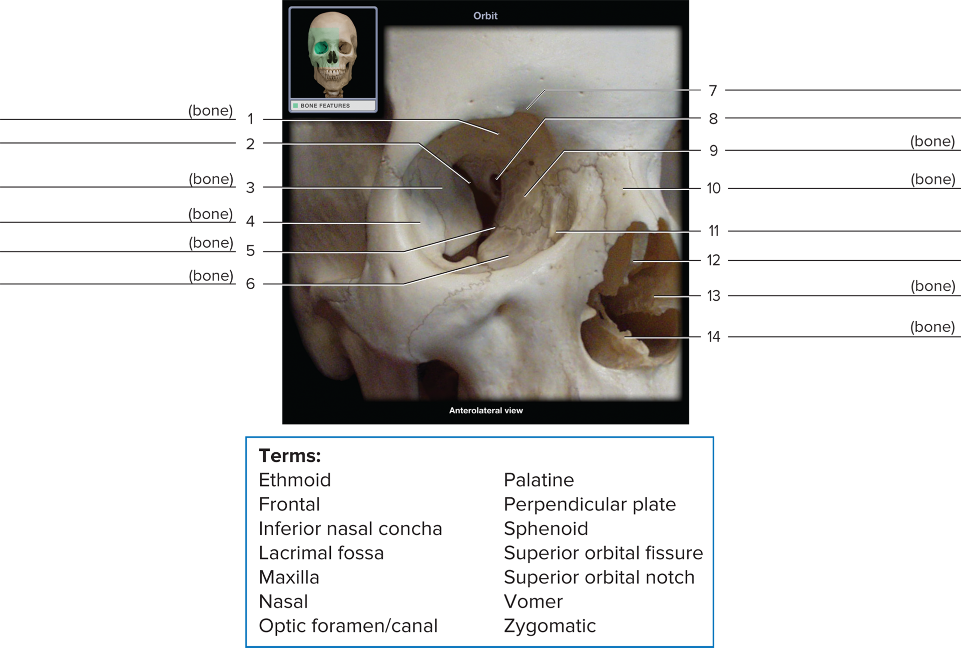 <p>14</p>