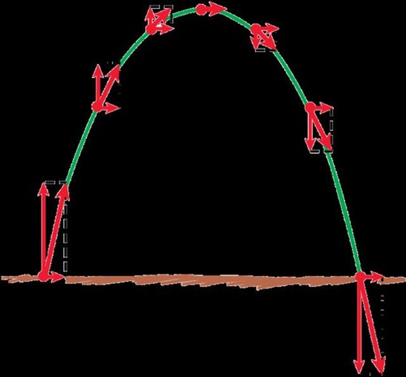 <p>Curved paths with independent motion components.</p>