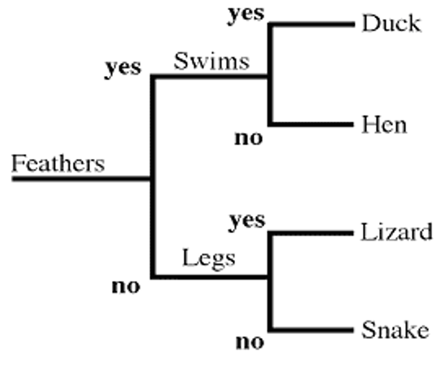 <p>A key for the identification of organisms based on a series of paired statements or questions that describe alternative possible characteristics of an organism. The paired statements usually describe the presence or absence of certain visible characteristics or structures.</p>