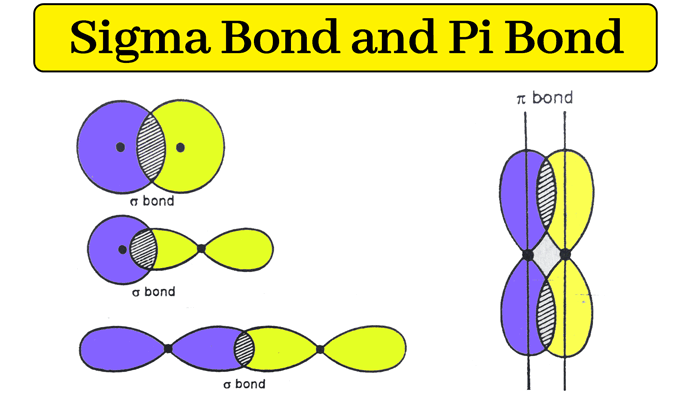 <p>sigma bond </p>