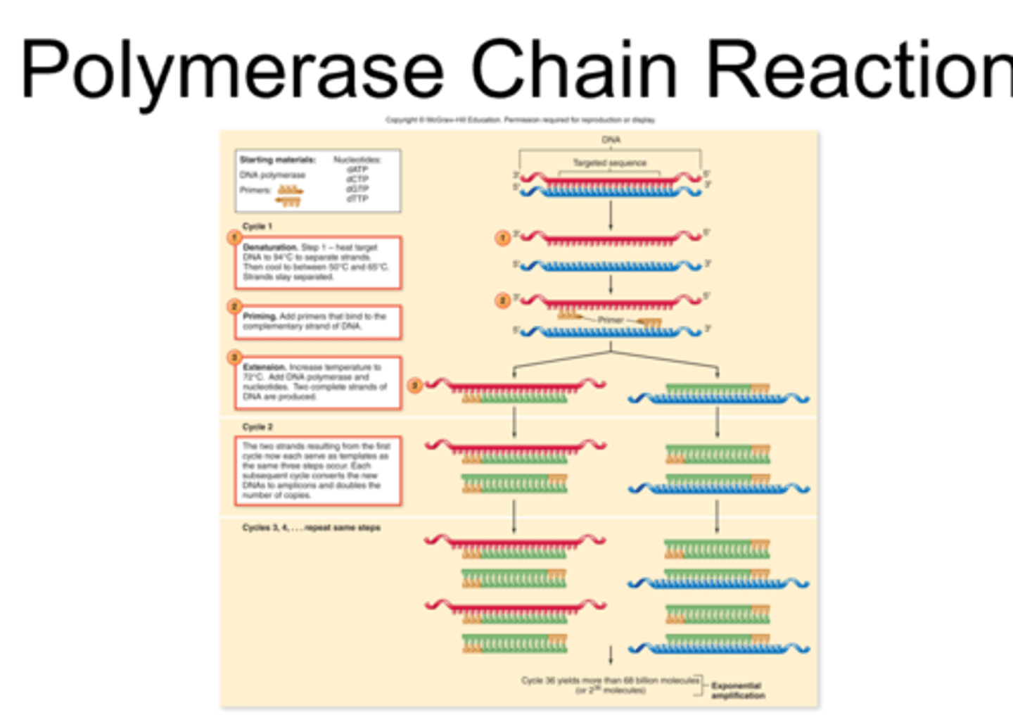 <p>otherwise known as melting, annealing, and synthesis; 3 basic steps of PCR</p>