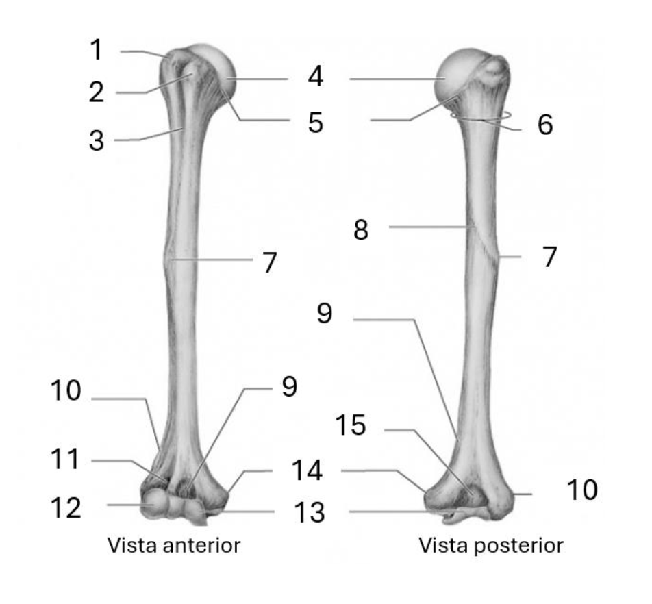 <p>8</p>