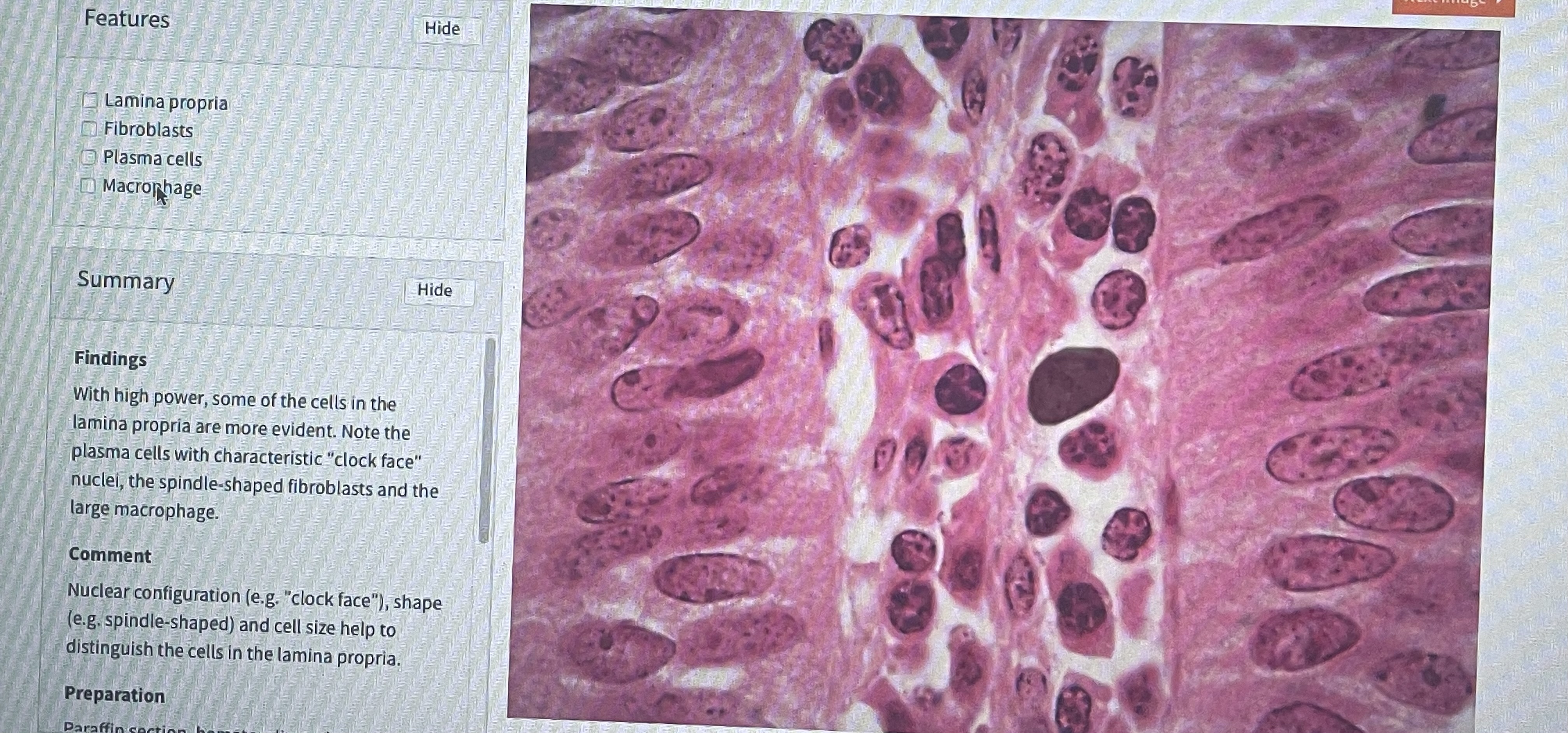 knowt flashcard image