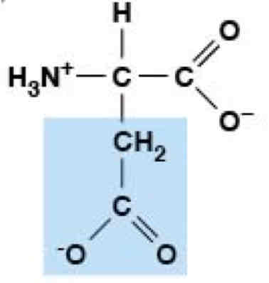 <p>Polar, Charged (Hydrophobic)</p>
