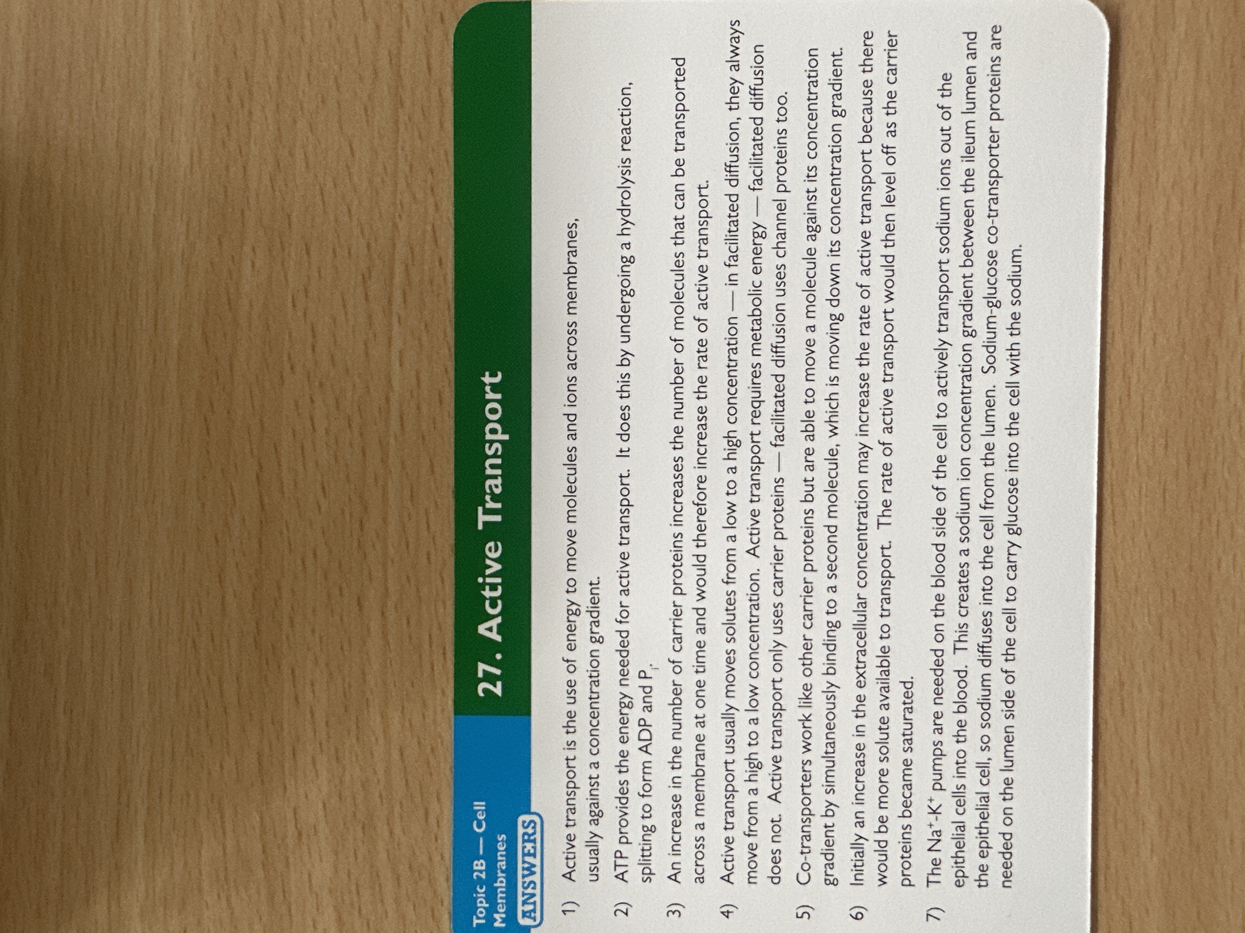 knowt flashcard image