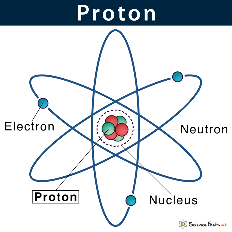 a subatomic particle found in the nucleus of every atom. The particle has a positive electrical charge, equal and opposite to that of the electron. The number of protons is the atomic number