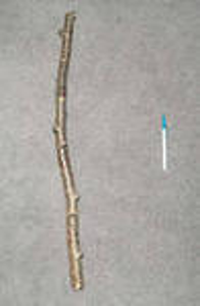 <p>stick</p>