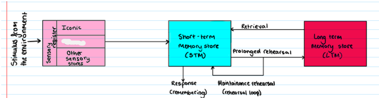 <p><strong>Multi Store Model</strong></p><p>What is missing?</p>