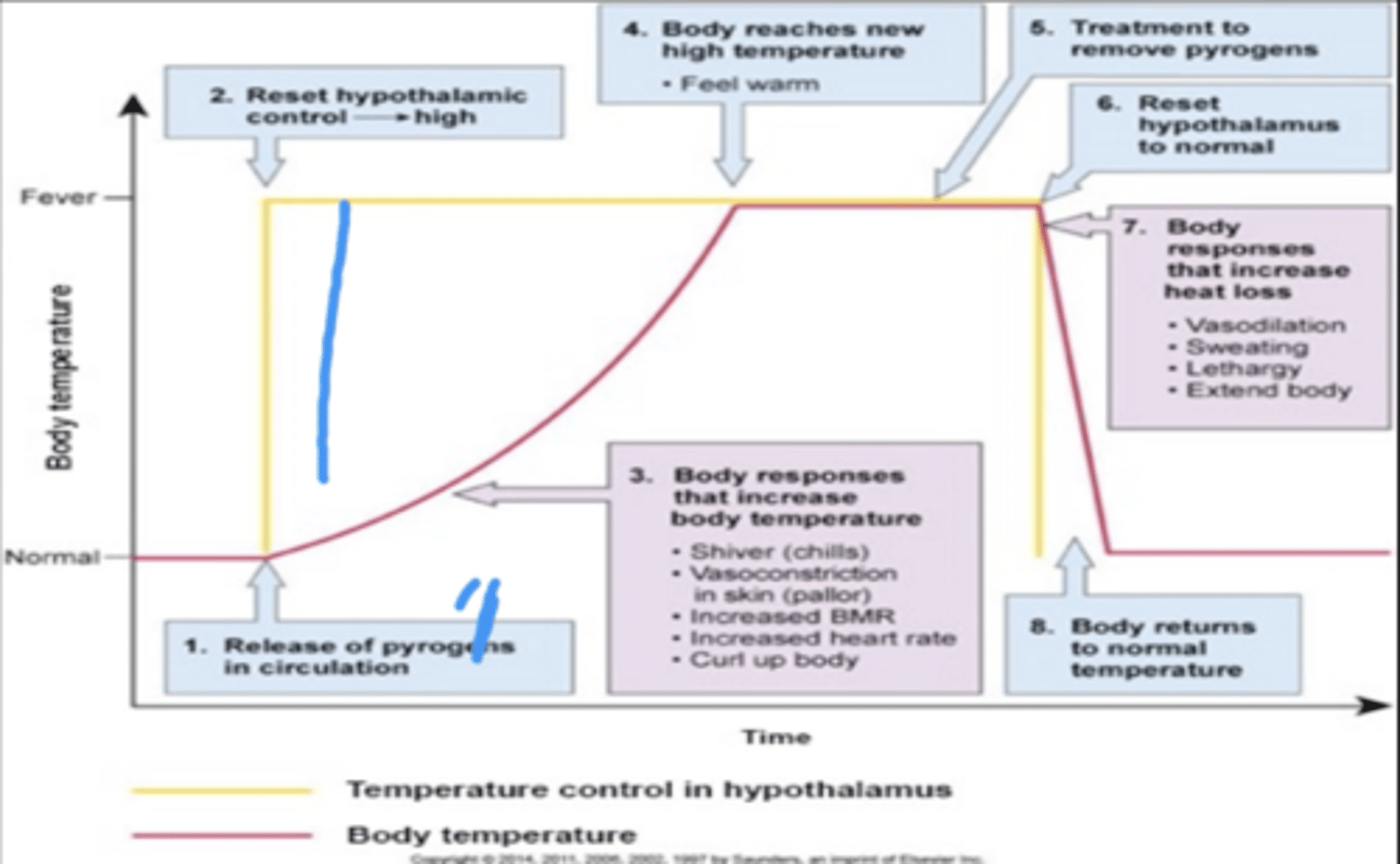knowt flashcard image