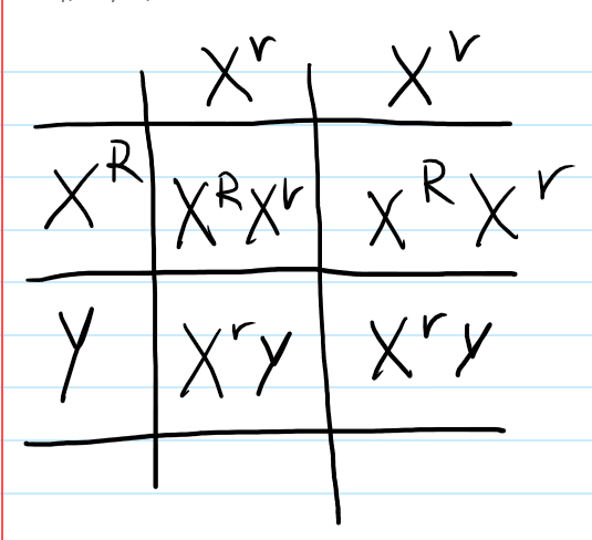 <p>a. 0%, since they get the X chromosome from the mother which both are recessive</p><p>b. 0%, since they get the X chromosome from the father which is dominant</p>