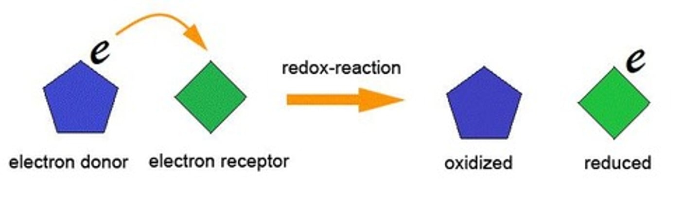<p>A type of reaction involving the transfer of electrons.</p>