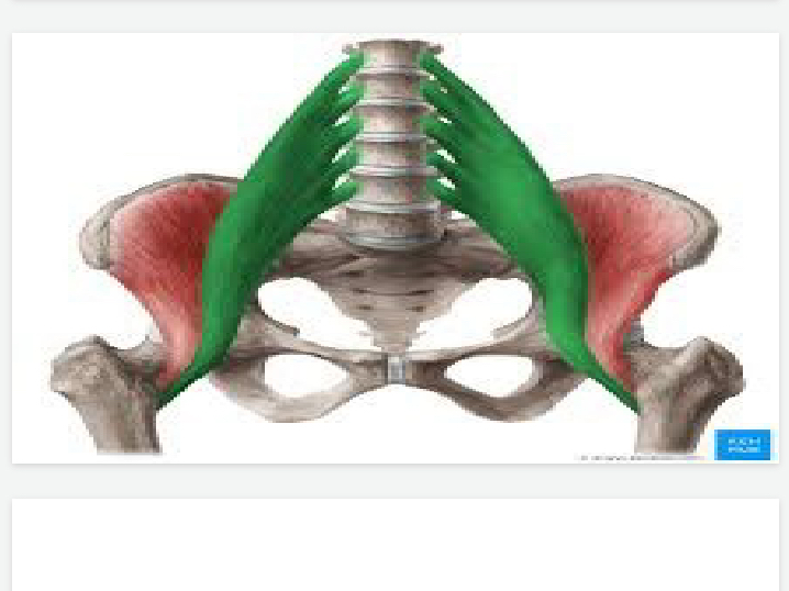 <p>Lower body</p>