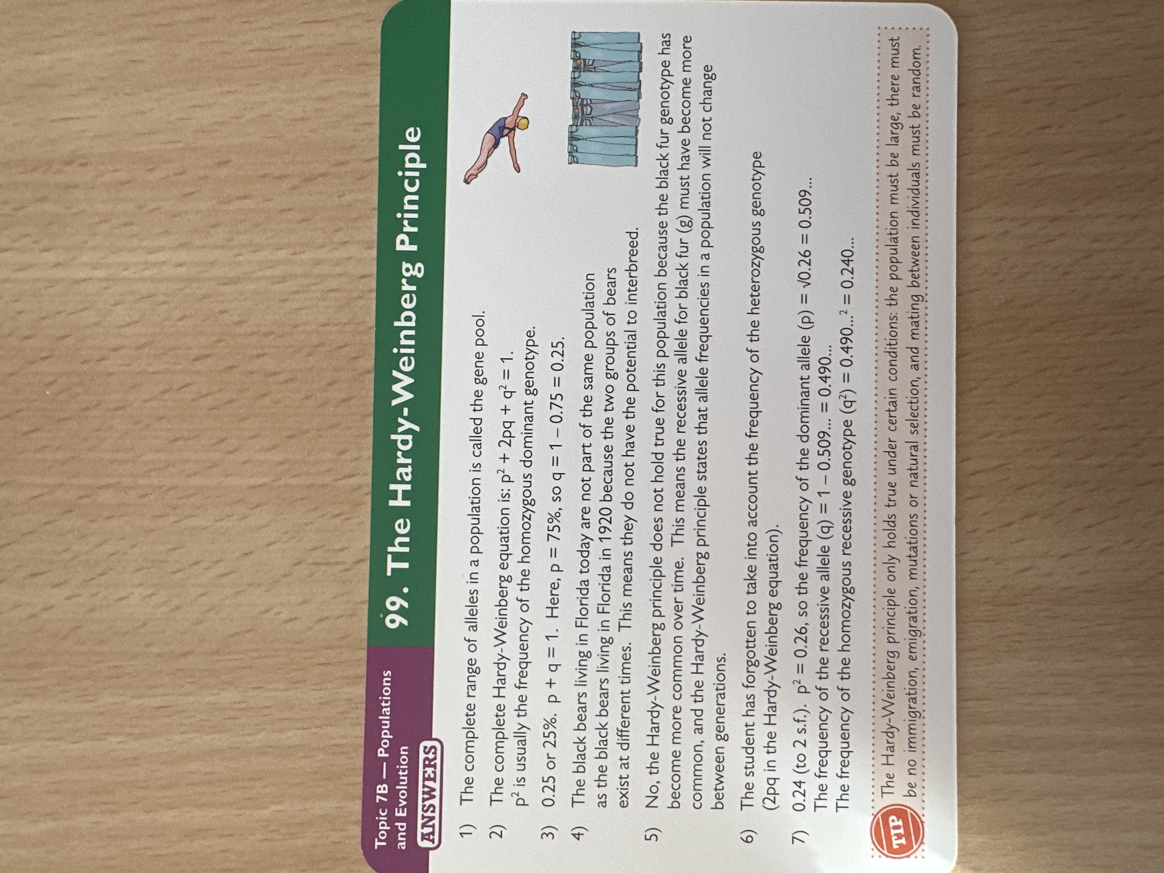 knowt flashcard image