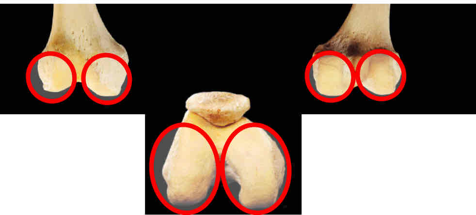 <p>Identify </p>