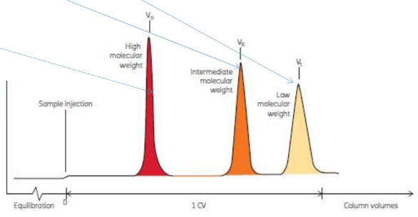 <p>• Equilibrate column with buffer that will be used in reaction, only one buffer with optimum pH and NaCl added to prevent non-specific electrostatic interactions</p><p>• Load concentrated (but less than 50mg/ml) sample onto column, less than 2% of Vt</p><p>• Wash continiously with buffer until proteins separate and elute</p><p>• Chromatogram will show order of elution</p><p>• Only about 10 proteins can be resolved</p><p>• Membrane proteins may not behave as expected due to detergents</p>