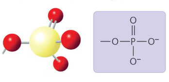 <p>What functional group is this?</p>