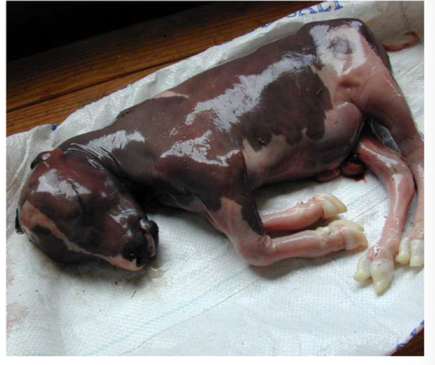 <p>what is this picture associated with?</p>
