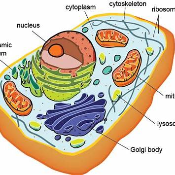 <p>eukaryotic </p>