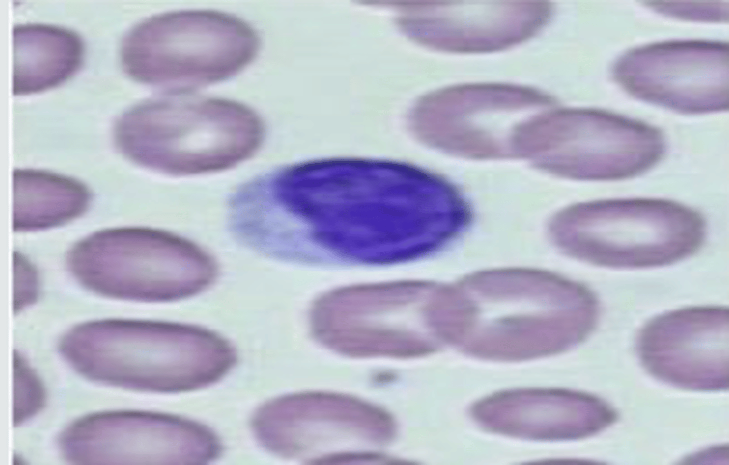 <p>What image is being depicted here?</p>