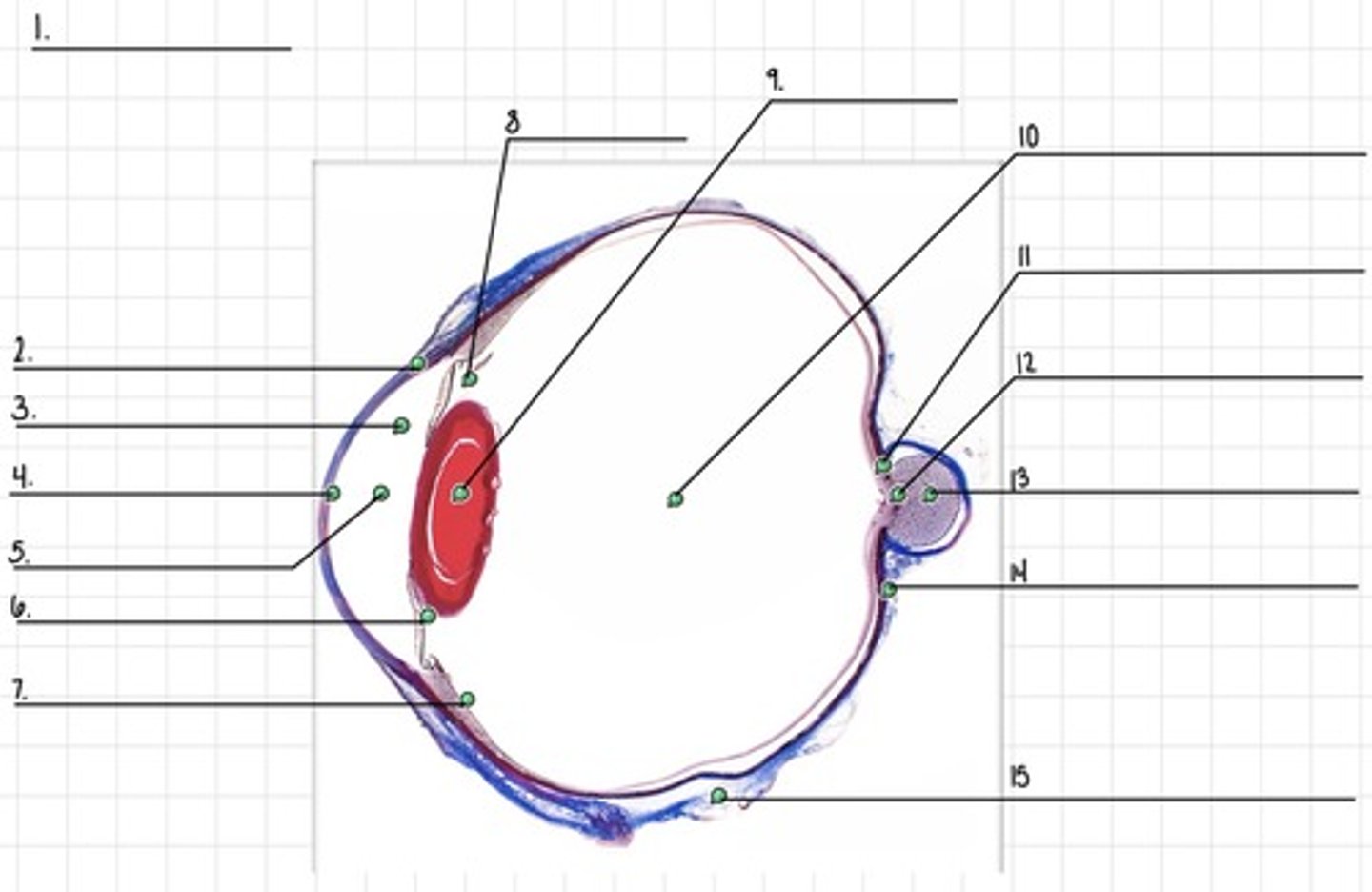 <p>1</p>