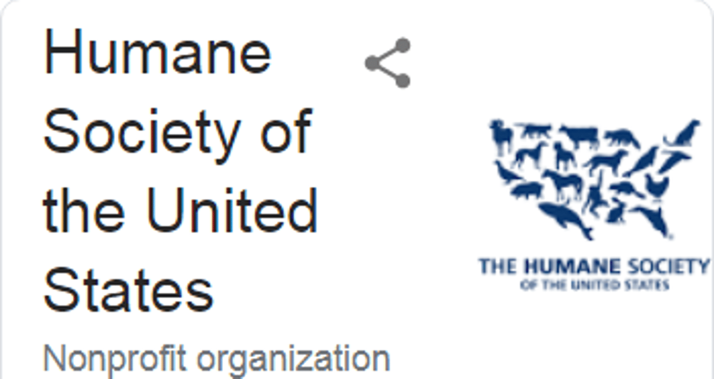 <p>Two of their "fights" - Taking the suffering out of science and ending cosmetics animal testing</p>